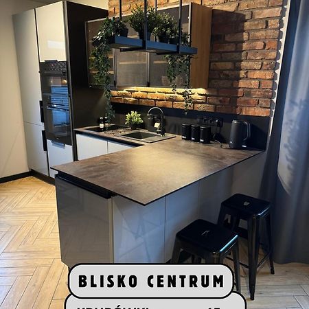 Apartamenty Szary Wilk - Klimatyczne Apartamenty Dla 2 Osob - Blisko Centrum -Bezplatny Parking ซาโกปาเน ภายนอก รูปภาพ